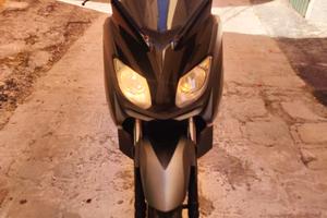 Xmax 250