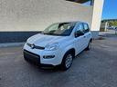 fiat-panda-1-0-firefly-s-s-hybrid-prezzo-reale