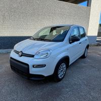 Fiat Panda 1.0 FireFly S&S Hybrid PREZZO REALE