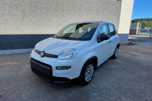 Fiat Panda 1.0 FireFly S&S Hybrid PREZZO REALE