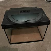 Acquario Pesci 30 litri Tetra