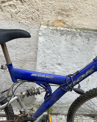 Bicicletta