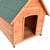 casetta cane grande 