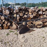 aratro antico a mano tiro cavallo 