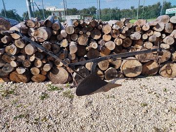 aratro antico a mano tiro cavallo 