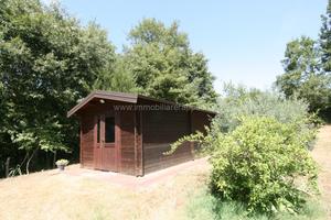 CA58 - Terreno agricolo con capanno, vigneto e bos