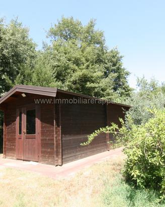 CA58 - Terreno agricolo con capanno, vigneto e bos