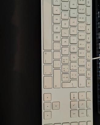 Tastiera Apple Magic Keyboard USB + Tappetino XXL