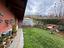 Immagine 27
