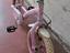 Immagine 2