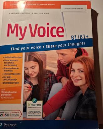 my voice