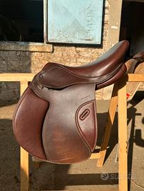 Sella equitazione