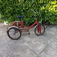 bicicletta a tre ruote 