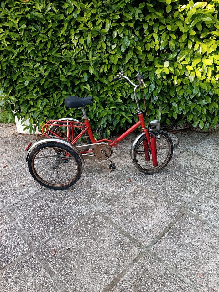 Bici Elettrica Bici Con Tre Ruote Usate Motore Elettrico Triciclo