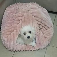 cuccia per cani piccoli caldissima