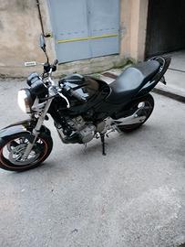 Honda Hornet