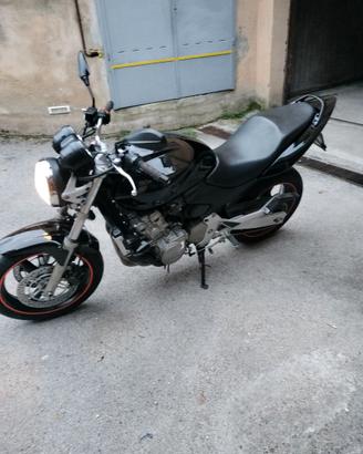 Honda Hornet