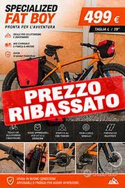 Specialized Fat Boy  + borse Ortieb