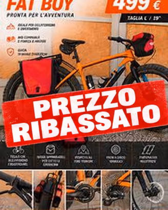 Specialized Fat Boy  + borse Ortieb