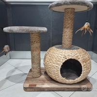 Tiragraffi natural bonsai by Croci