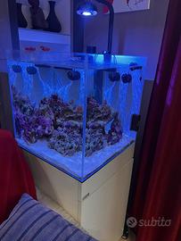 Vasca base e accessori per acquario marino