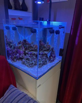 Vasca base e accessori per acquario marino