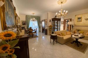 3Vani Ampio+BOX Auto Via Recca MAV99