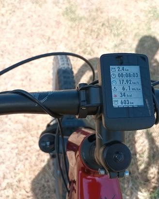 OLIMPIA EX900  SPORT 