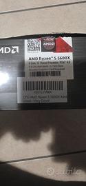 Rayzen 5 5600x 