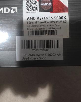 Rayzen 5 5600x 