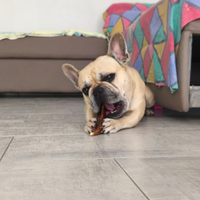 Diego disponibile per m.O.n.T.a