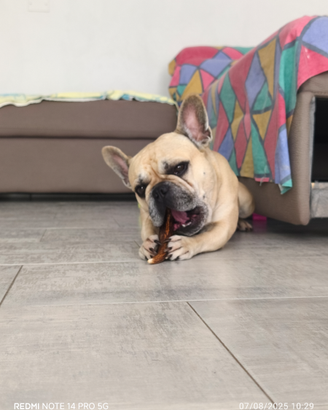Diego disponibile per m.O.n.T.a