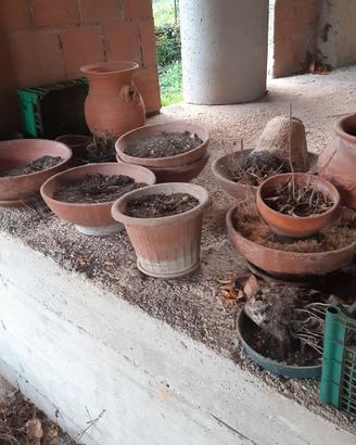 Vasi vasetti anfore orci sottovasi in terracotta