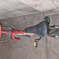 Bici da bimbo dragon ball