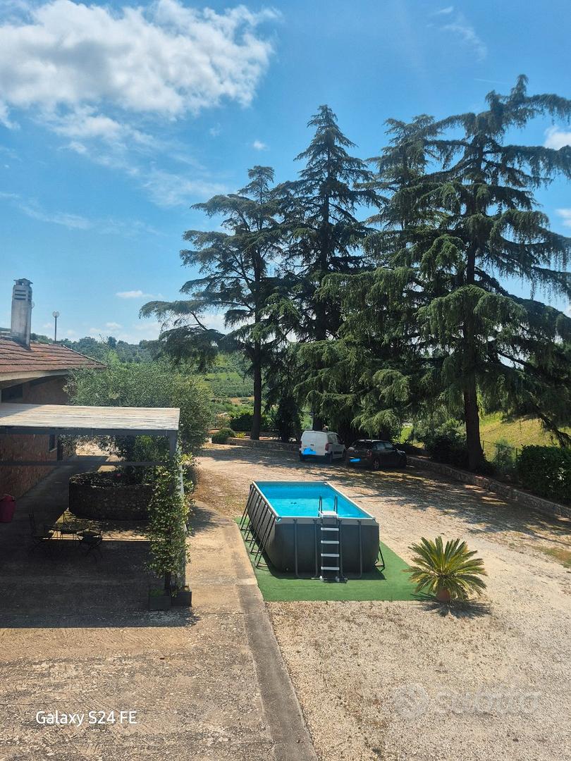 Terreno agricolo a Monterotondo - Vista 6