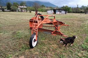 Ranghinatore agricolo