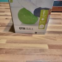 Gym Ball L