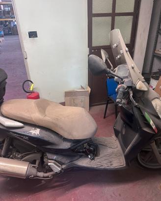 Malaguti Password 250 del 2007