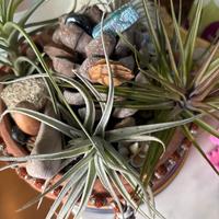 Mini Giardini Zen. Su misura personale Olistica