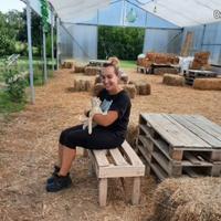 Mansione dinamica, natura, animali, relazioni