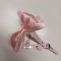 Pettorina in vernice