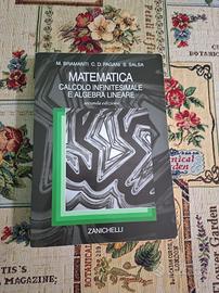 Libro Analisi Matematica