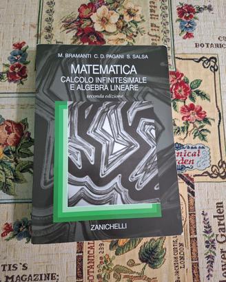 Libro Analisi Matematica
