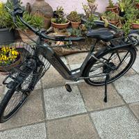 Bicicletta elettrica Bottecchia BE20 Richmond