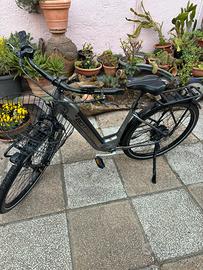 Bicicletta elettrica Bottecchia BE20 Richmond