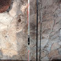 canna da pesca surfcasting con mulinello 