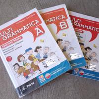 Multigrammatica. Vol. A-B. Con Palestra INVALSI