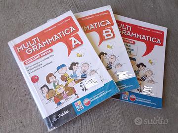 Multigrammatica. Vol. A-B. Con Palestra INVALSI