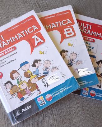 Multigrammatica. Vol. A-B. Con Palestra INVALSI