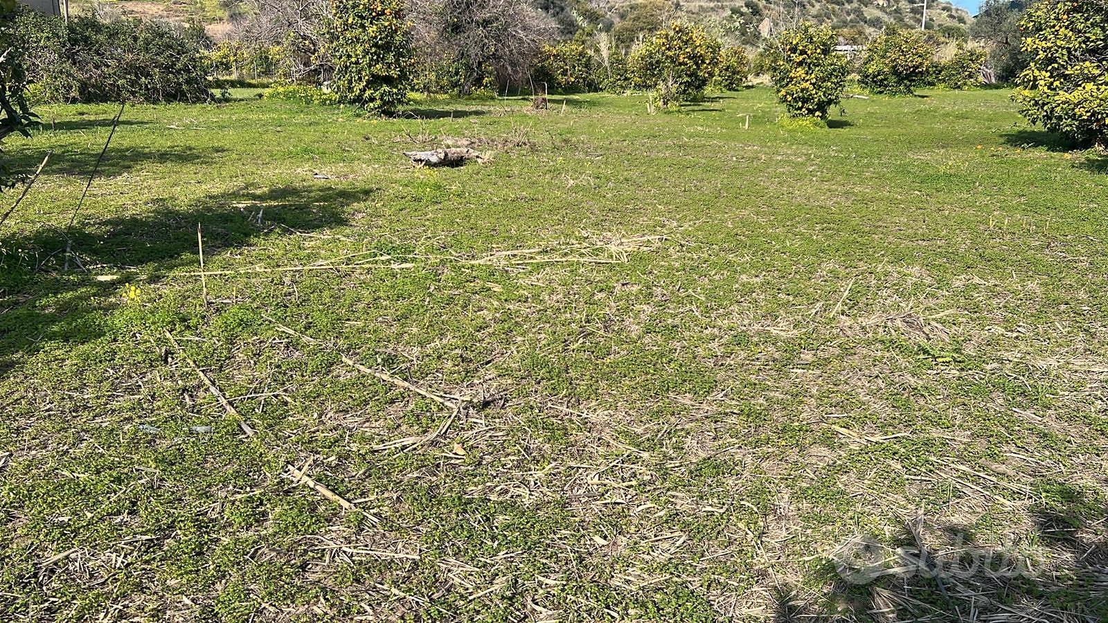 Terreno agricolo 10000 mq - Vista 3